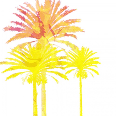 Sunny Palm II