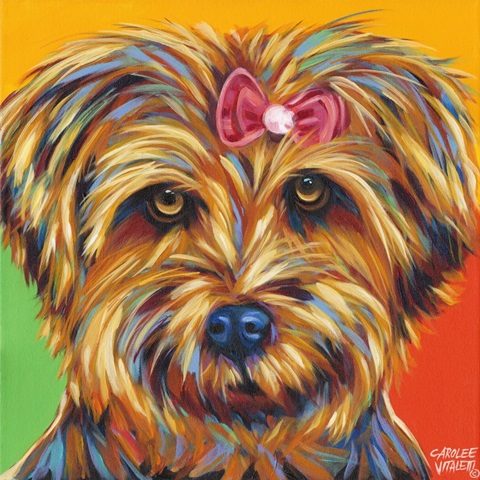 Sweet Yorkie I