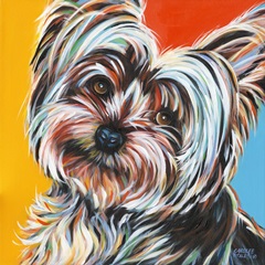 Sweet Yorkie II