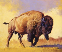 Tatanka