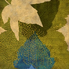 Teal Leaf I