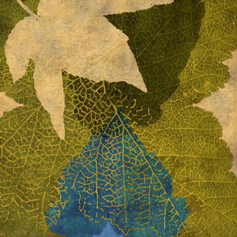 Teal Leaf I