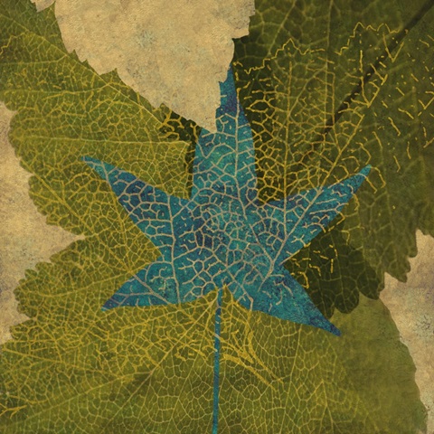 Teal Leaf II