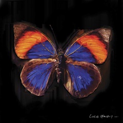 Techno Butterfly III