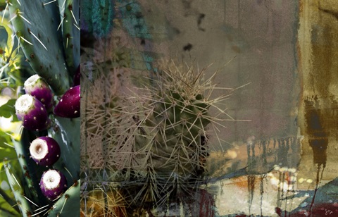 Texas Cactus Collage