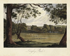 The English Countryside IV