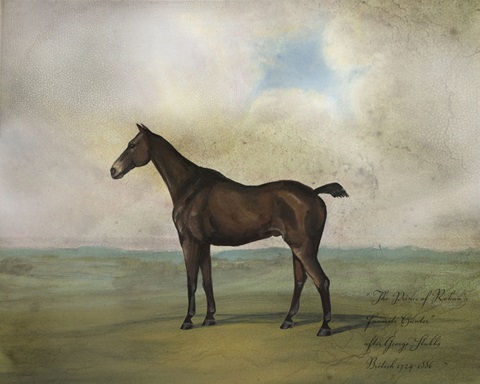 The Prince Rohan's Favorite Hunter