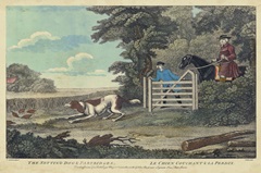 The Thrill of the Chase I