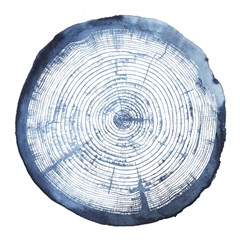 Tree Ring Overlay I