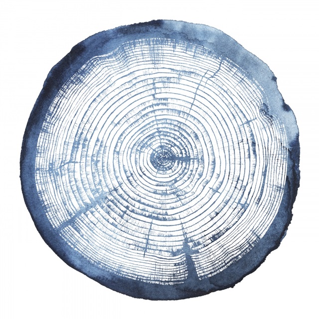 Tree Ring Overlay I