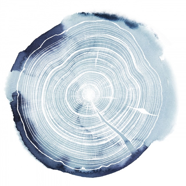 Tree Ring Overlay III