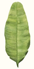 Tropical Breeze Leaves IV