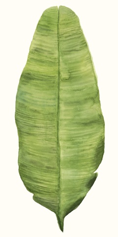 Tropical Breeze Leaves IV