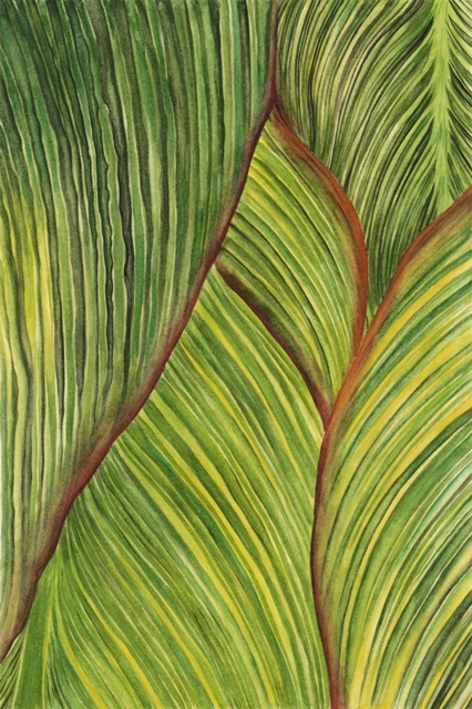 Tropical Crop II