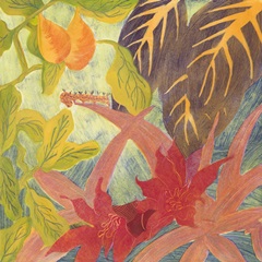 Tropical Monotype IV