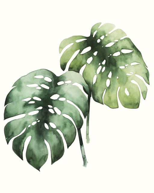 Tropical Plant I