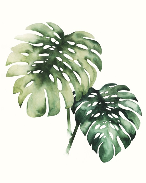 Tropical Plant II
