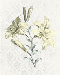 Victorian Blooms III