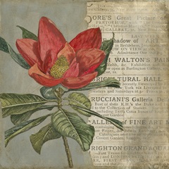 Vintage Fleur Rouge I