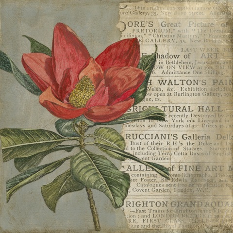 Vintage Fleur Rouge I