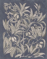 Vintage Fruit and Floral I