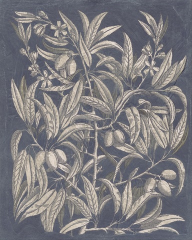 Vintage Fruit and Floral I