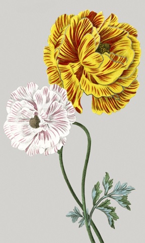 Vintage Garden Varieties III