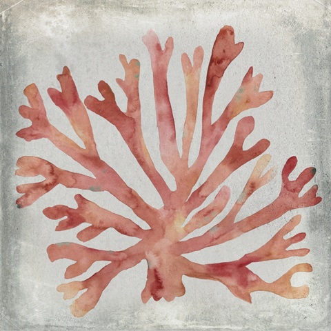 Watercolor Coral III