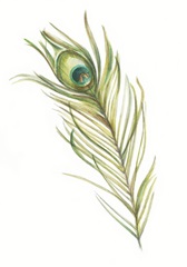 Watercolor Peacock Feather I