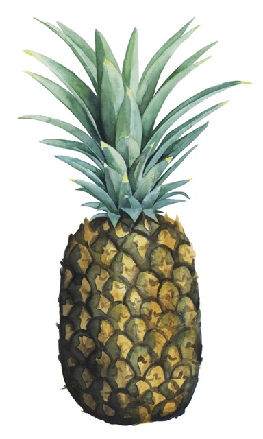 Watercolor Pineapple I
