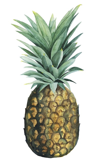 Watercolor Pineapple II