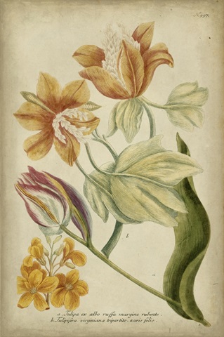 Weinmann Tropical Floral II