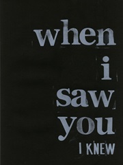 When I Saw You... I
