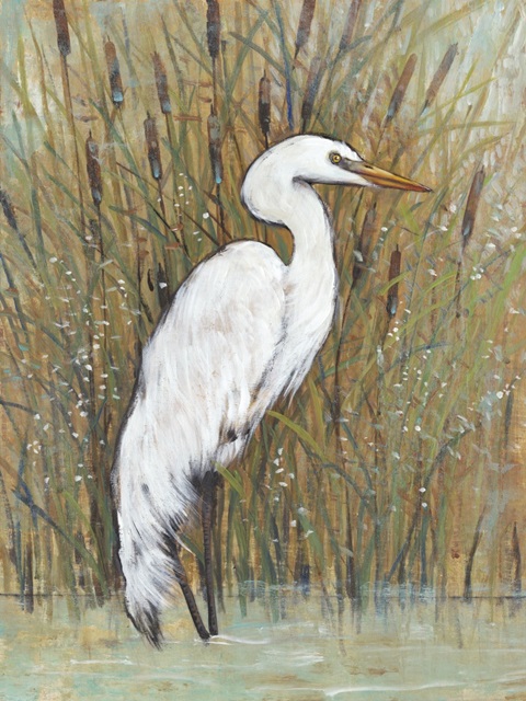 White Egret II