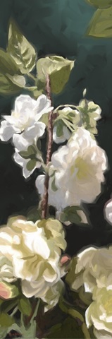 White Roses IV