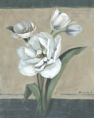 White Tulips II