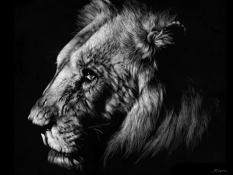 Wildlife Scratchboards I
