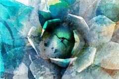Agave Abstract I