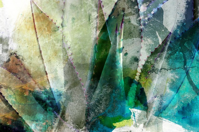 Agave Abstract II