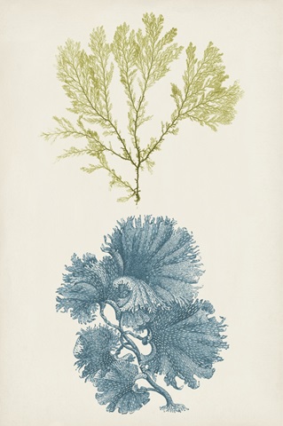 Aqua and Citron Coral I