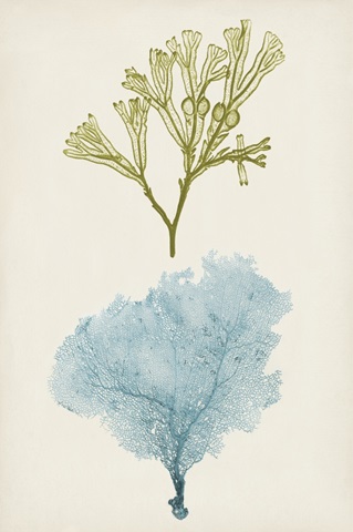 Aqua and Citron Coral II