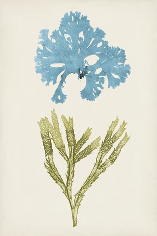 Aqua and Citron Coral III