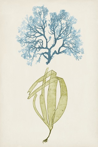 Aqua and Citron Coral IV