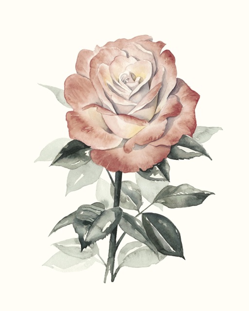 Beholden Rose I