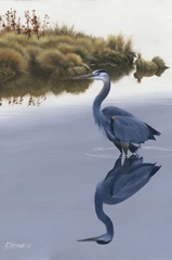 Blackwater Reflections II