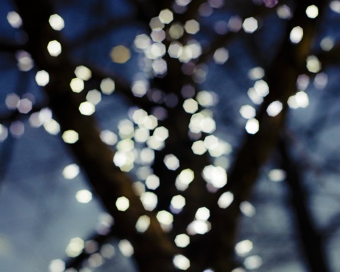 Bokeh Blue I