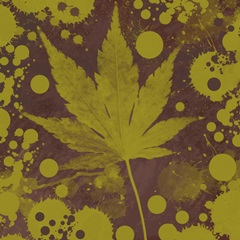 Botany Expressions II