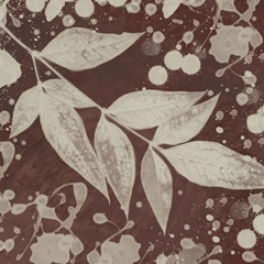 Botany Expressions III