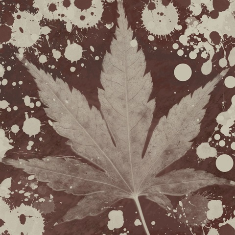 Botany Expressions IV