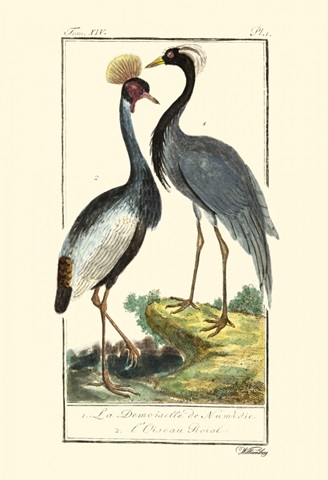 Buffon Cranes and Herons II